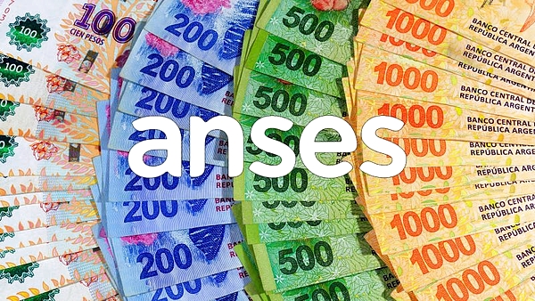 AUH ANSES: ¿Quiénes cobrarán hasta $ 340.000 en julio?