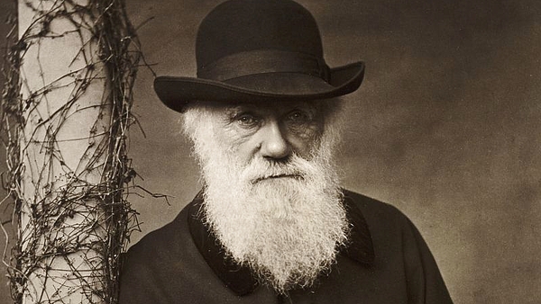 La investigación científica que analizó con inteligencia artificial si las teorías de Charles Darwin y Alfred Russell Wallace sobre las mariposas eran ciertas