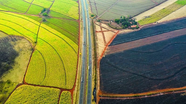 El cambio climático hace subir el precio de los alimentos y preocupa a los bancos centrales