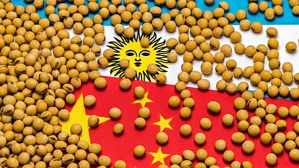 Argentina, soja, China y recesión global: de la inflación a la desaceleración económica