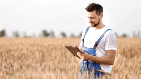 La innovación: el camino hacia la sostenibilidad del agro