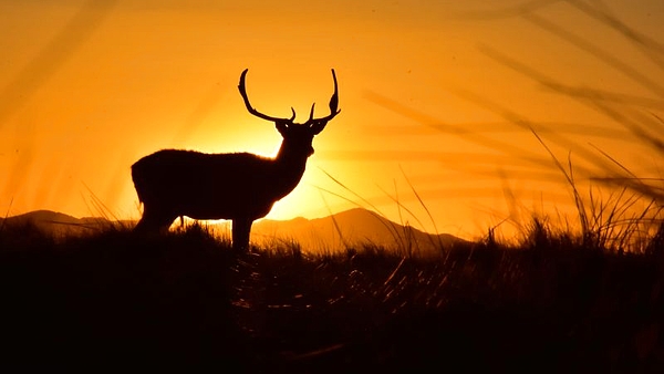 El paraje ecoturístico y lleno de animales silvestres que es un paraíso natural en el medio de las Sierras Bonaerenses: a cuántos kilómetros queda de CABA