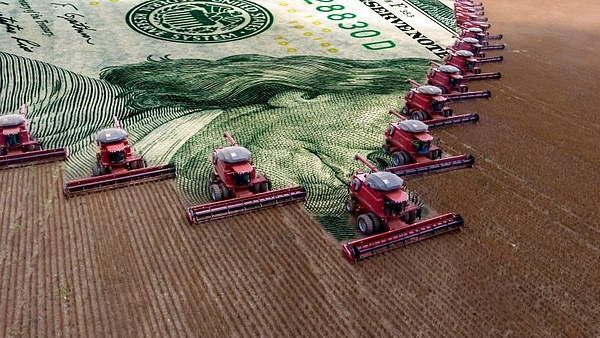 Dólar y agro: la medida que podría tomar el Gobierno para disparar las reservas