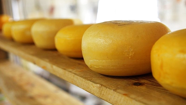 El pintoresco pueblo bonaerense donde se instalaron inmigrantes holandeses y que se convirtió en la cuna del queso gouda