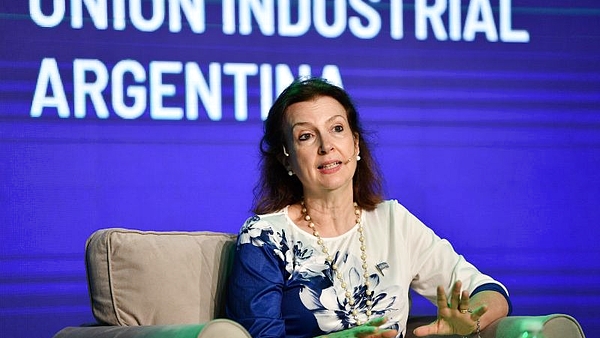 Dólar, pesos o ladrillos: Diana Mondino develó cuál es hoy la mejor inversión para ahorrar