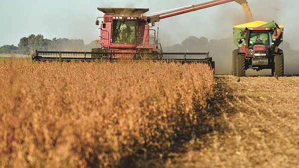 La provincia con la que sueñan los argentinos: tiene el modelo productivo que quieren para el país