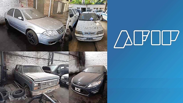 El barn-find de la AFIP: venden autos abandonados en un depósito