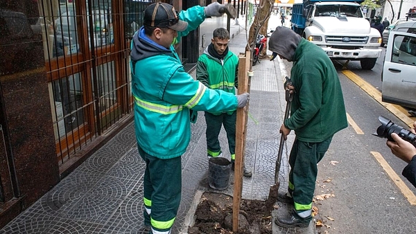 CABA presentó su Plan de Arbolado 2024: ¿dónde plantarán los 18 mil ejemplares nuevos?