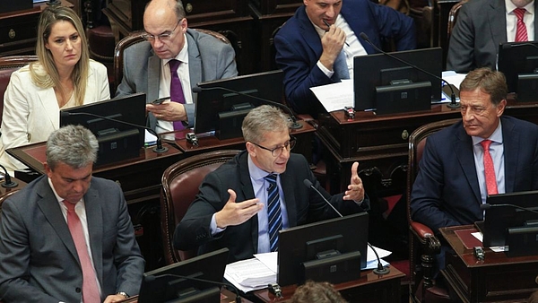 Las propuestas de los senadores radicales para cambiar artículos de la Ley de Bases